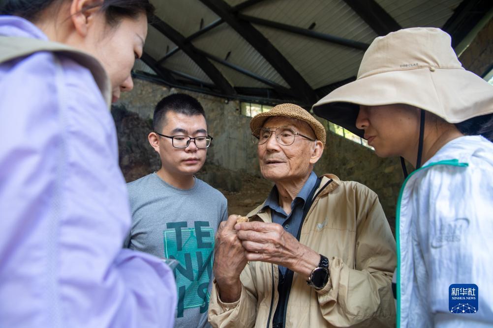 打鱼网游戏